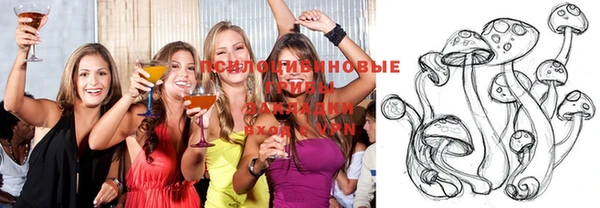 mdpv Нея