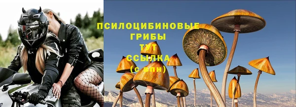 трава Нефтекумск