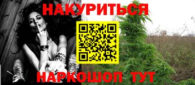 сатива Беслан